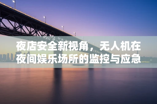 夜店安全新视角，无人机在夜间娱乐场所的监控与应急响应技术挑战