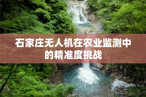 石家庄无人机在农业监测中的精准度挑战