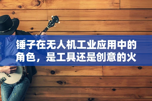 锤子在无人机工业应用中的角色，是工具还是创意的火花？