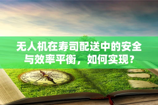 无人机在寿司配送中的安全与效率平衡，如何实现？