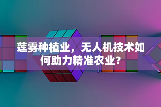 莲雾种植业，无人机技术如何助力精准农业？