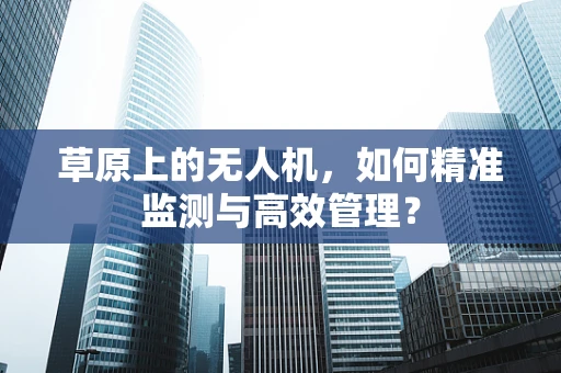 草原上的无人机，如何精准监测与高效管理？
