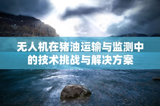 无人机在猪油运输与监测中的技术挑战与解决方案