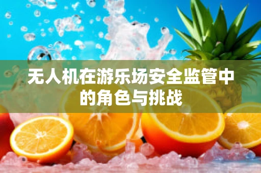 无人机在游乐场安全监管中的角色与挑战