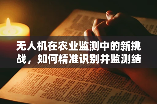 无人机在农业监测中的新挑战，如何精准识别并监测结肠炎对作物的影响？