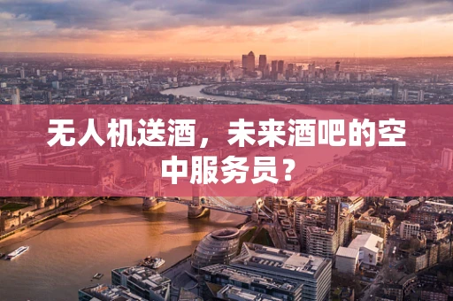 无人机送酒，未来酒吧的空中服务员？