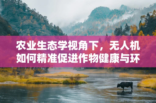 农业生态学视角下，无人机如何精准促进作物健康与环境保护的平衡？