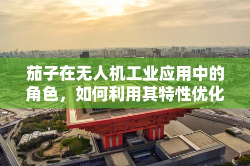 茄子在无人机工业应用中的角色，如何利用其特性优化作物监测？