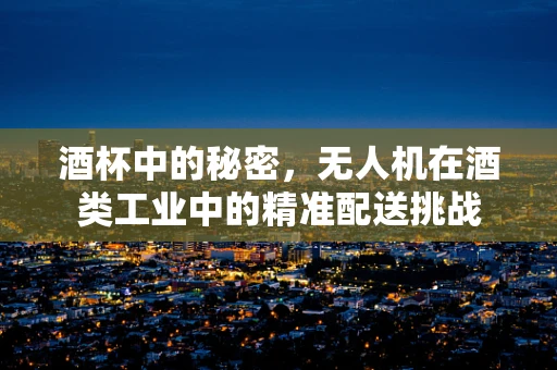 酒杯中的秘密，无人机在酒类工业中的精准配送挑战