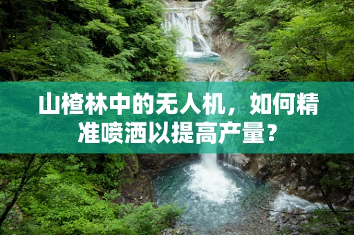 山楂林中的无人机，如何精准喷洒以提高产量？