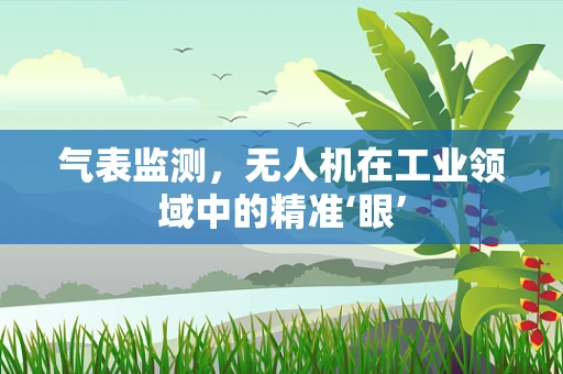 气表监测，无人机在工业领域中的精准‘眼’