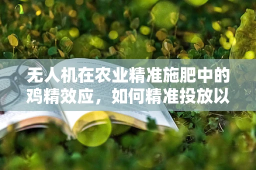 无人机在农业精准施肥中的鸡精效应，如何精准投放以提升作物产量？