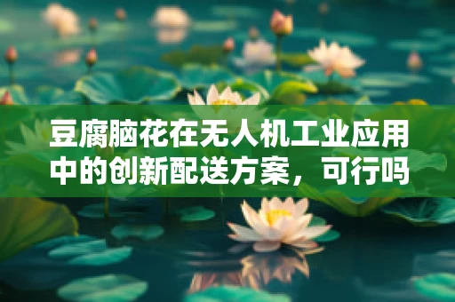 豆腐脑花在无人机工业应用中的创新配送方案，可行吗？