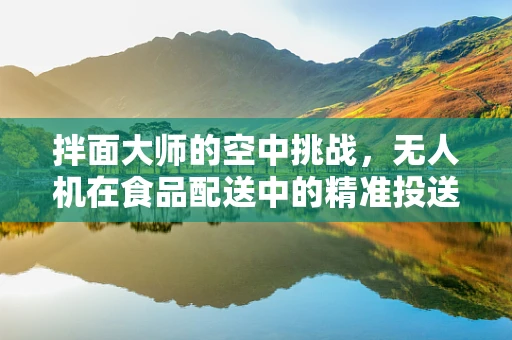 拌面大师的空中挑战，无人机在食品配送中的精准投送难题