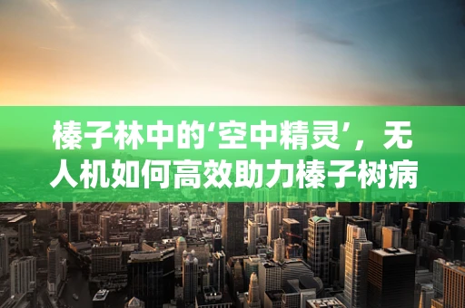 榛子林中的‘空中精灵’，无人机如何高效助力榛子树病虫害监测？