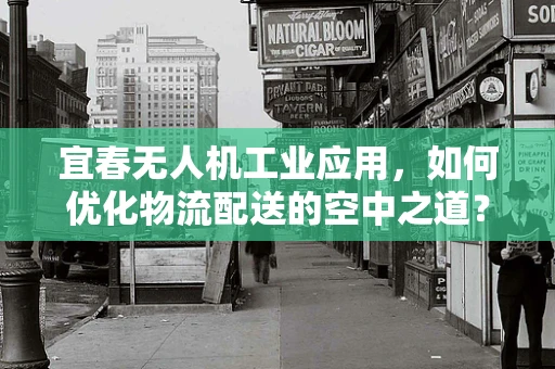 宜春无人机工业应用，如何优化物流配送的空中之道？