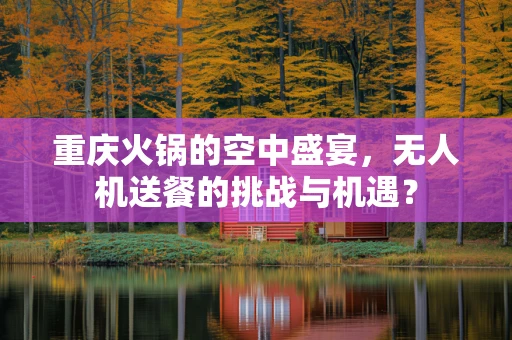 重庆火锅的空中盛宴，无人机送餐的挑战与机遇？