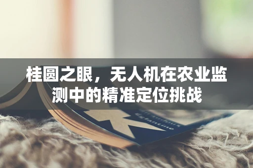 桂圆之眼，无人机在农业监测中的精准定位挑战