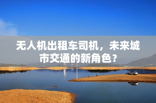 无人机出租车司机，未来城市交通的新角色？