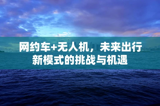 网约车+无人机，未来出行新模式的挑战与机遇
