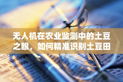 无人机在农业监测中的土豆之眼，如何精准识别土豆田的病虫害？