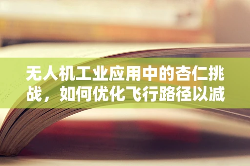 无人机工业应用中的杏仁挑战，如何优化飞行路径以减少碰撞风险？