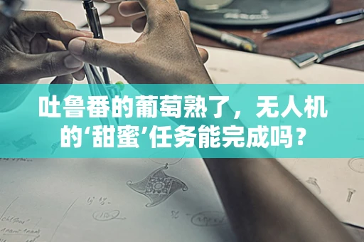 吐鲁番的葡萄熟了，无人机的‘甜蜜’任务能完成吗？