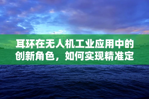 耳环在无人机工业应用中的创新角色，如何实现精准定位与安全监控？