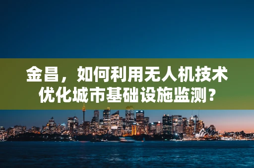 金昌，如何利用无人机技术优化城市基础设施监测？