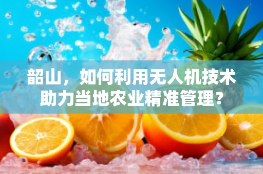 韶山，如何利用无人机技术助力当地农业精准管理？