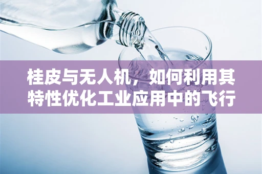 桂皮与无人机，如何利用其特性优化工业应用中的飞行稳定性？