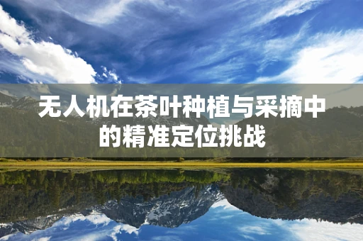 无人机在茶叶种植与采摘中的精准定位挑战