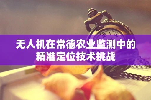 无人机在常德农业监测中的精准定位技术挑战