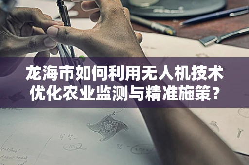 龙海市如何利用无人机技术优化农业监测与精准施策？