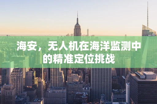 海安，无人机在海洋监测中的精准定位挑战