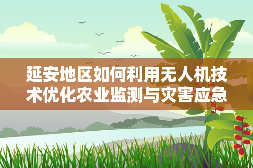 延安地区如何利用无人机技术优化农业监测与灾害应急响应？