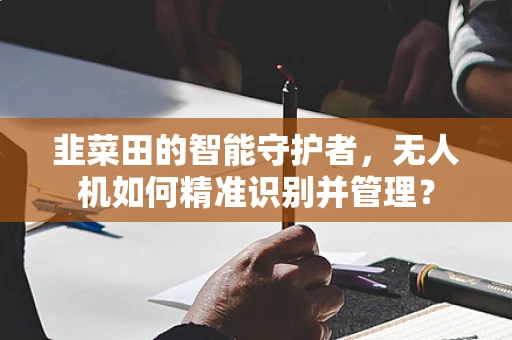 韭菜田的智能守护者，无人机如何精准识别并管理？