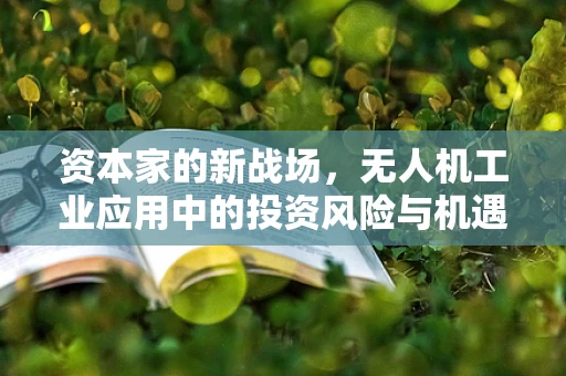 资本家的新战场，无人机工业应用中的投资风险与机遇如何平衡？