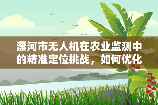 漯河市无人机在农业监测中的精准定位挑战，如何优化飞行路径以提升作物监测效率？