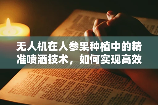 无人机在人参果种植中的精准喷洒技术，如何实现高效与环保的平衡？