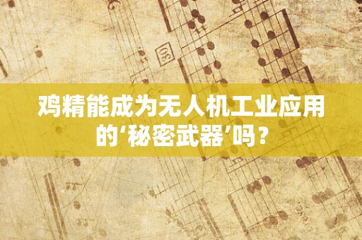 鸡精能成为无人机工业应用的‘秘密武器’吗？