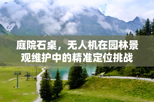 庭院石桌，无人机在园林景观维护中的精准定位挑战