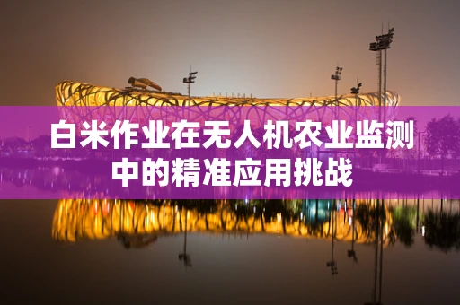 白米作业在无人机农业监测中的精准应用挑战