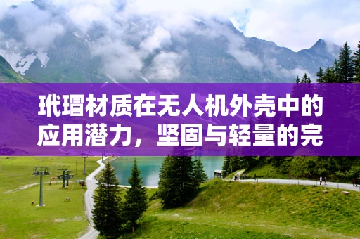 玳瑁材质在无人机外壳中的应用潜力，坚固与轻量的完美平衡？