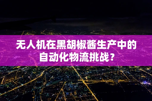 无人机在黑胡椒酱生产中的自动化物流挑战？