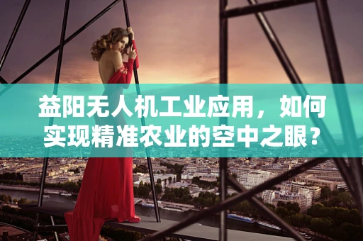 益阳无人机工业应用，如何实现精准农业的空中之眼？