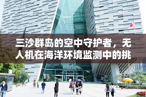 三沙群岛的空中守护者，无人机在海洋环境监测中的挑战与机遇