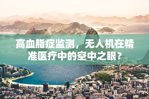 高血脂症监测，无人机在精准医疗中的空中之眼？