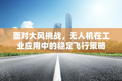 面对大风挑战，无人机在工业应用中的稳定飞行策略