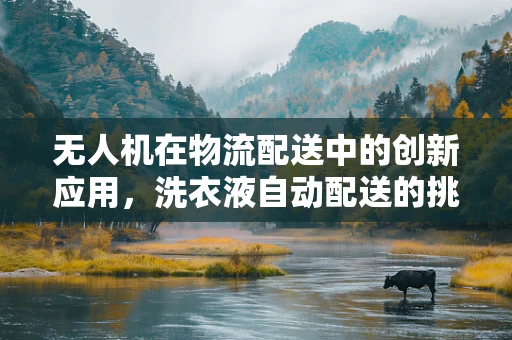 无人机在物流配送中的创新应用，洗衣液自动配送的挑战与解决方案